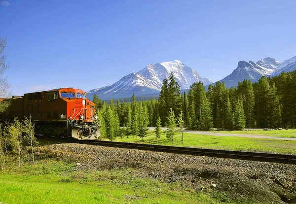 Lake Louise İstasyonu Kanada Rocky Dağları'na yük treni yaklaşıyor.