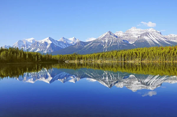 Vue Tôt Matin Lac Herbert Dans Les Rocheuses Canadiennes Parc — Photo