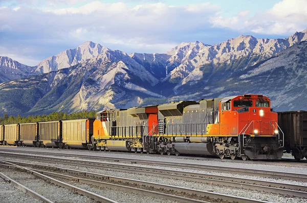 Yük treni Jasoer için geldi. Alberta. Kanada.