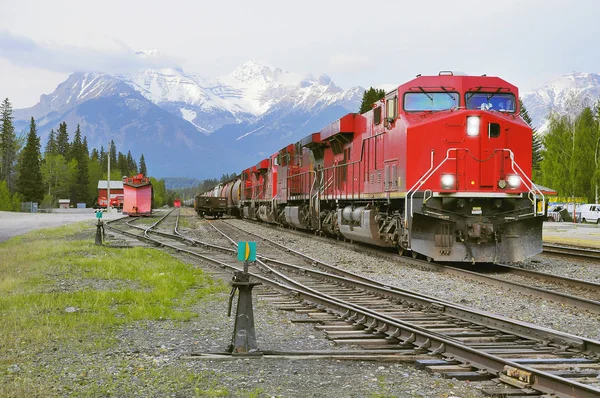 Yük treni Banff için geldi. Alberta. Kanada.