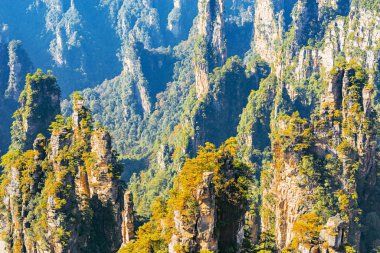 Gün batımında renkli kayalıklarla Zhangjiajie Forest Park içinde. Çin.