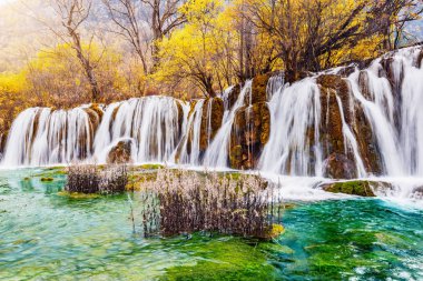 Şelale gündoğumu zaman saf su ile sonbahar manzarası. Jiuzhaigou doğa Rezervatı ' Jiuzhai Vadisi Milli Parkı, Çin