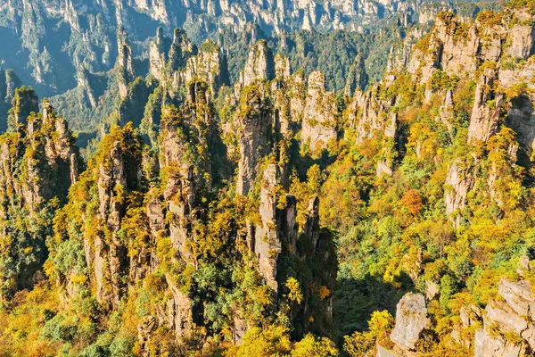 Bunte Klippen Zhangjiajie Forest Park China — Stockfoto