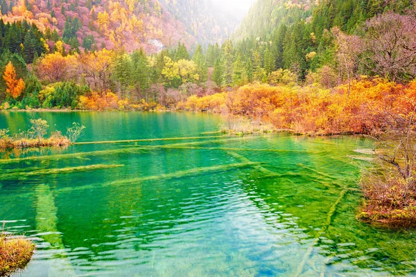 Autunno Vista Lago All Alba Riserva Naturale Jiuzhaigou Parco Nazionale — Foto Stock