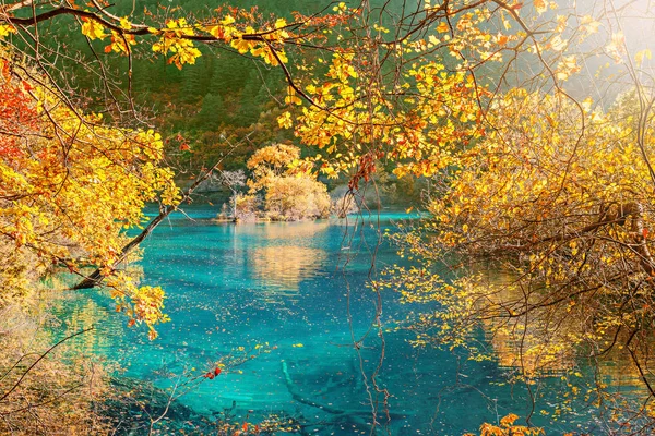 Осенний Вид Озеро Восходе Солнца Jiuzhaigou Заповедник Jiuzhai Valley National — стоковое фото