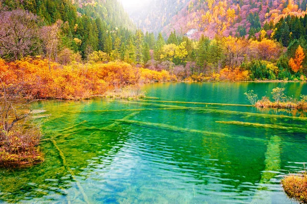 Autunno Vista Lago All Alba Riserva Naturale Jiuzhaigou Parco Nazionale — Foto Stock