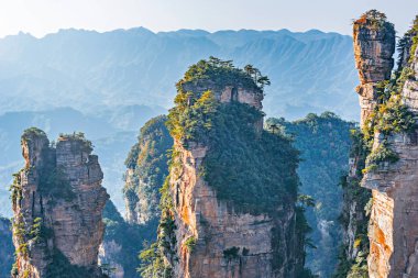 Gün batımında renkli kayalıklarla Zhangjiajie Forest Park içinde. Çin.