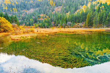 Gündoğumu zaman sonbahar göl manzaralı. Jiuzhaigou Doğa Rezervatı ' Jiuzhai Vadisi Milli Parkı, Çin.