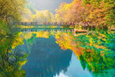 Ağaçlar sonbahar günü zaman renkli göl kenarında. Jiuzhaigou doğa Rezervatı ' Jiuzhai Vadisi Milli Parkı, Çin.