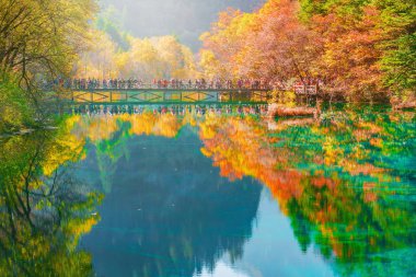 Ağaçlar sonbahar günü zaman renkli göl kenarında. Jiuzhaigou doğa Rezervatı ' Jiuzhai Vadisi Milli Parkı, Çin.