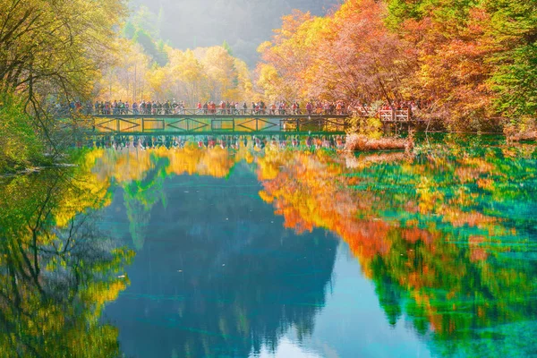 Trees Colorful Lake Autumn Day Time Jiuzhaigou Nature Reserve Jiuzhai — Stock Photo, Image