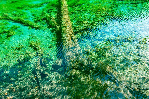 Árboles Fondo Del Lago Con Agua Cristalina Reserva Natural Jiuzhaigou — Foto de Stock