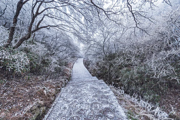 Winterliche Straßenansicht Huangshan Nationalpark China — Stockfoto