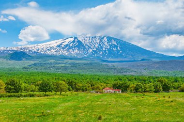 Etna Yanardağı kırsal arka plan üzerinde. Sicilya. İtalya.