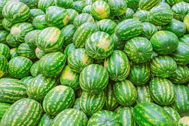 Taze karpuz arka planda meyve pazarı.