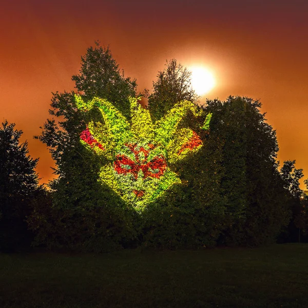 Moscou Rússia Setembro 2018 Projeção Luz Para Árvore Parque Kolomenskoje — Fotografia de Stock