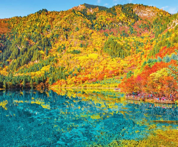 Fünf Blütensee Bei Sonnenaufgang Herbst Jiuzhaigou Naturschutzgebiet Jiuzhai Tal Nationalpark — Stockfoto