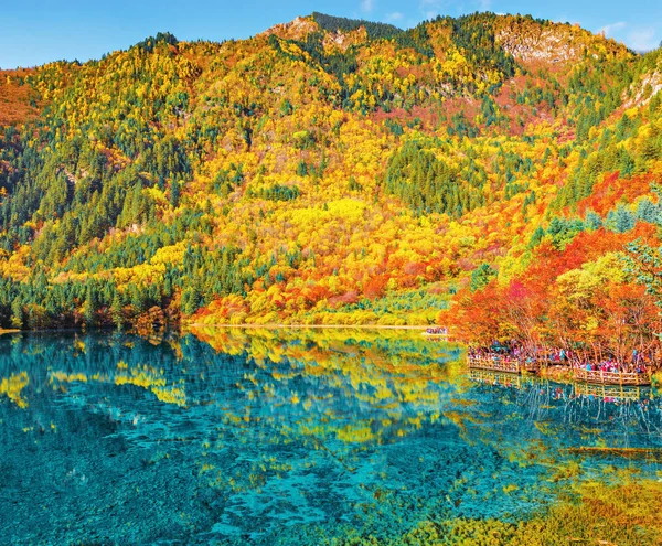 Fünf Blütensee Bei Sonnenaufgang Herbst Jiuzhaigou Naturschutzgebiet Jiuzhai Tal Nationalpark — Stockfoto