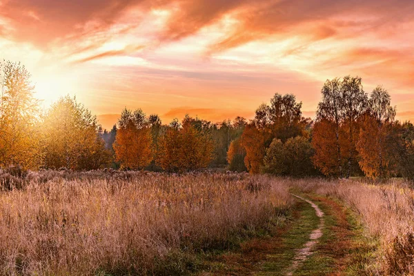 Herfst Weergave Van Het Pad Door Weide Zonsondergang Tijd — Stockfoto