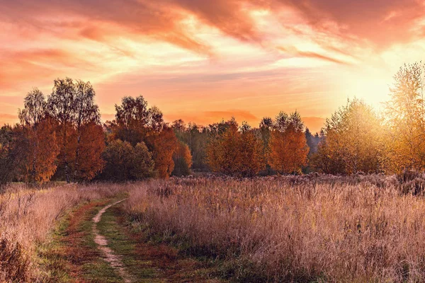 Herbst Blick Auf Den Pfad Der Wiese Bei Sonnenuntergang — Stockfoto