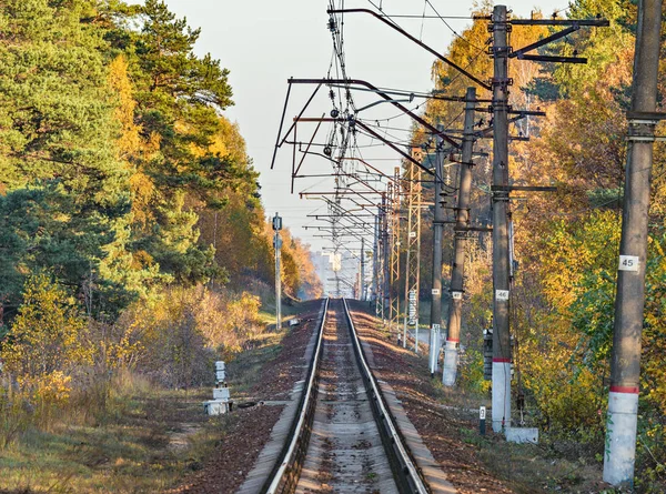 Rakt elektriska järnvägen fodrar höstkväll som helst. — Stockfoto