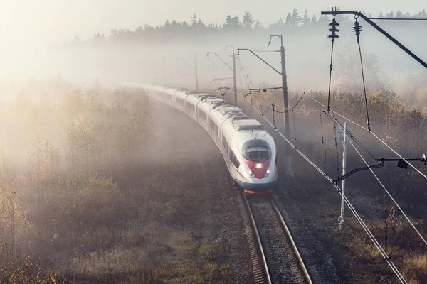 Modern Yüksek Hızlı Tren Sisli Sonbahar Gündoğumu Saatinde Istasyona Yaklaşıyor — Stok fotoğraf