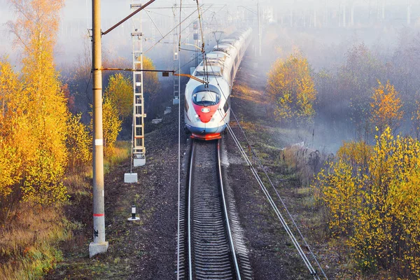 Сучасний Високошвидкісний Поїзд Рухається Станції Туманний Осінній Час Сходу Сонця — стокове фото
