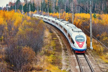 Modern yüksek hızlı tren istasyona sonbahar sabahı zaman yaklaşıyor..