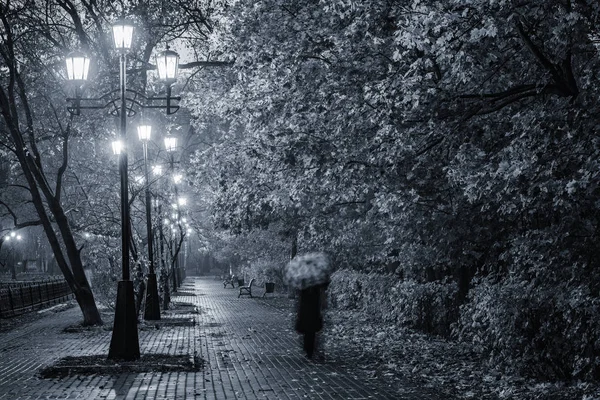 Afbeelding Van Het Oude Natte Herfst Stadspark — Stockfoto