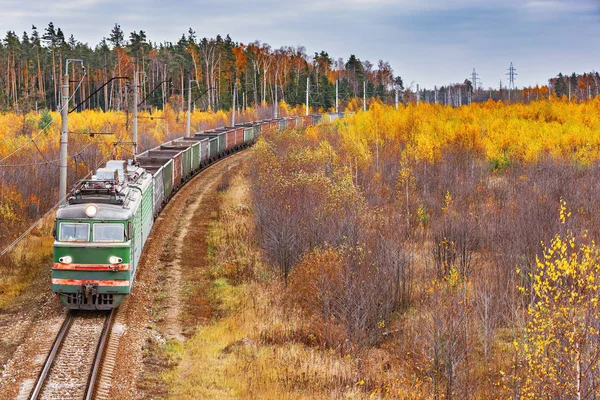 İstasyona uzun yük treni yaklaşıyor. — Stok fotoğraf