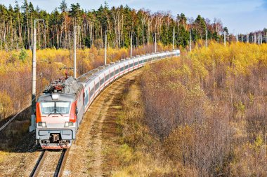 Modern yüksek hızlı tren istasyona sonbahar sabahı zaman yaklaşıyor..