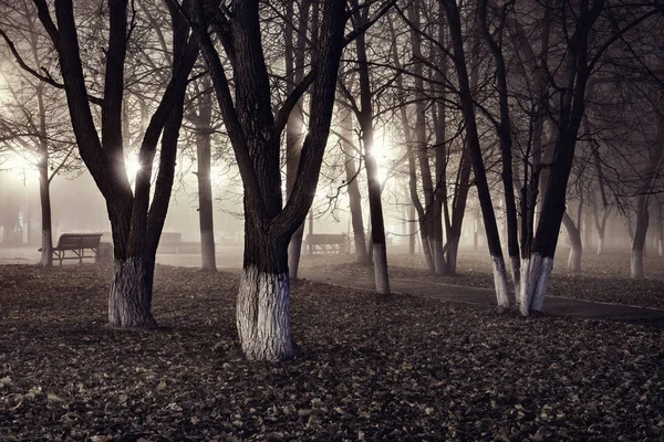 Panchine nel vecchio parco cittadino durante la notte autunnale . — Foto Stock