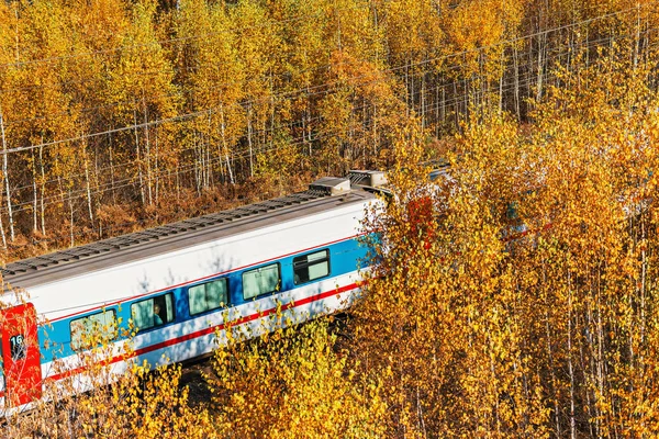 Рух Сучасного Швидкісного Поїзда Осінній Ранок — стокове фото