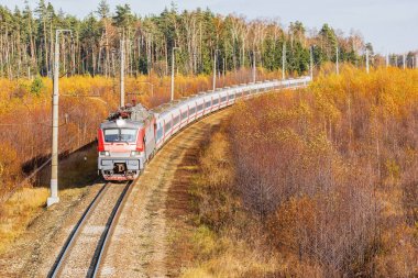 Modern yüksek hızlı tren istasyona sonbahar sabahı zaman yaklaşıyor..