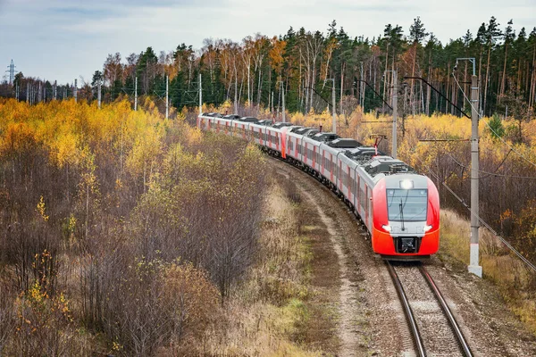 Modern Yüksek Hızlı Tren Istasyona Sonbahar Sabahı Zaman Yaklaşıyor — Stok fotoğraf