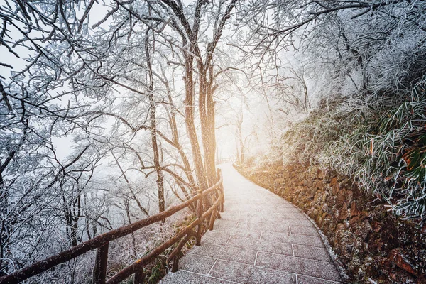 Winterliche Straßenansicht Huangshan Nationalpark China — Stockfoto