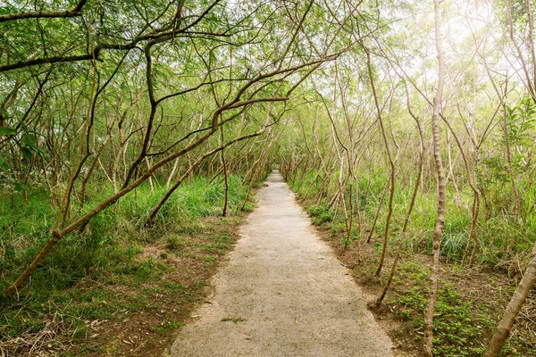 Estrada Parque Cidade Velha Hora Dia Ensolarado Ilha Park Hong — Fotografia de Stock