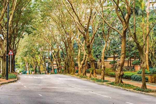 Camino vacío a la hora del día. Park Island. Hong Kong . — Foto de Stock