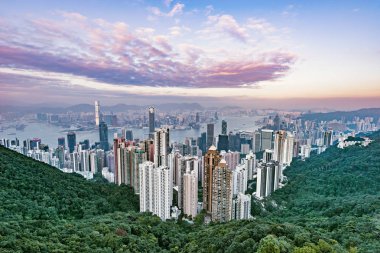 Victoria Tepesi 'nden Hong Kong şehir merkezi manzarası.