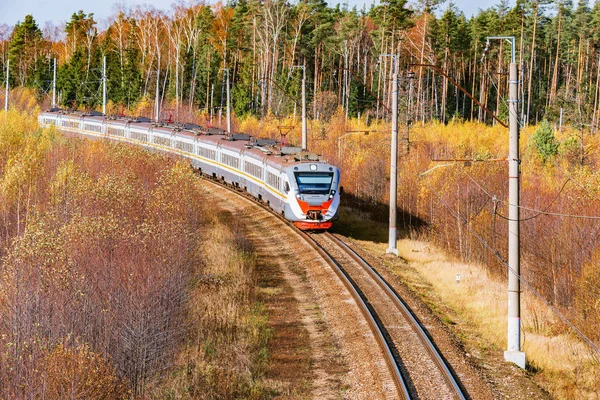 Moderna Snabbtåg Närmar Sig Till Stationen Höst Morgon Tid — Stockfoto