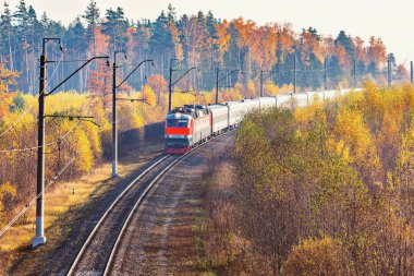 Yolcu tren istasyonuna yaklaşımlar sonbahar sabahı zaman.