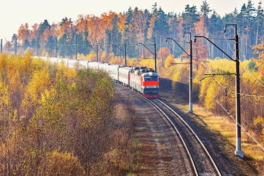 Yolcu tren istasyonuna yaklaşımlar sonbahar sabahı zaman.