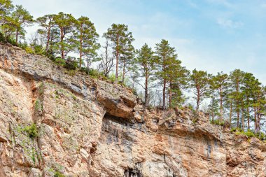 Çam ağaçlarının gorge kayalıklarla.