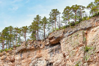 Çam ağaçlarının gorge kayalıklarla.