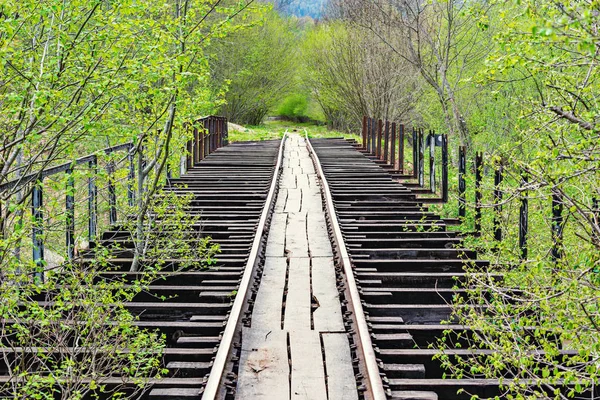 Antiguo Puente Ferroviario Destruido Bosque Montañoso —  Fotos de Stock