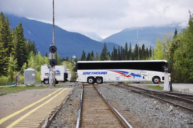 Banff, Kanada - 06 Haziran 2011: Greyhound Şirket otobüs tren istasyonu tarafından geçer..