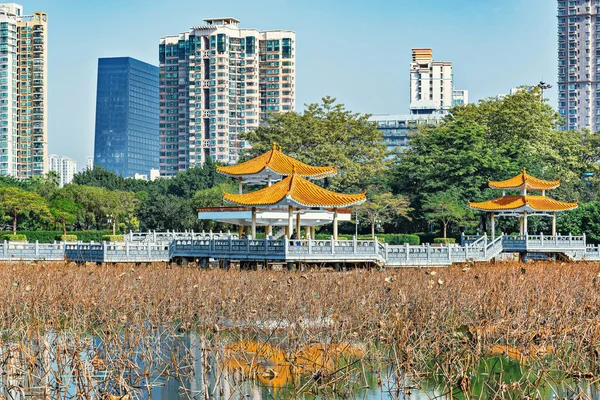 Ağaçlar Şehir Parktaki Gölün Ortasındaki Adada Shenzhen Çin — Stok fotoğraf