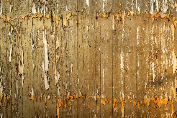 Close up image of wooden texture background. — Stock Photo, Image
