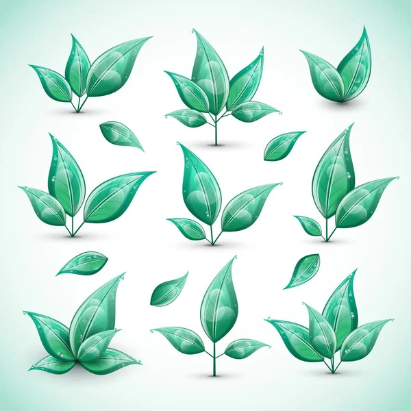 Set of green fresh leaves isolated on white background. Vector illustration. — Stock Vector