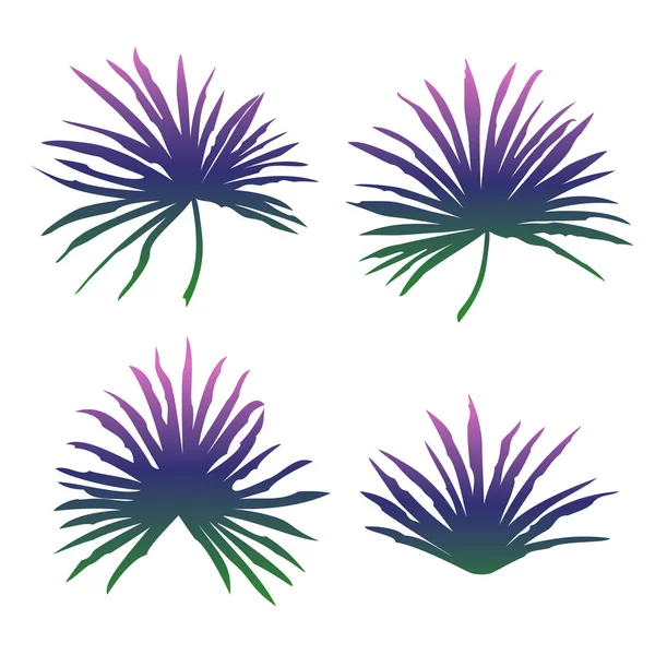 Conjunto de hojas de palmeras tropicales aisladas sobre fondo blanco. Ilustración vectorial . — Archivo Imágenes Vectoriales